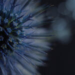 1861开奖结果直播最新现场实况全程回顾 5iuec