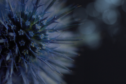 1861开奖结果直播最新现场实况全程回顾 1861开奖结果直播最新现场实况全程回顾