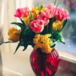 3d开奖129期最新结果公布,中奖号码已揭晓 7h161y