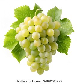 185期最新开奖结果查询与中奖号码公布 185期最新开奖结果查询与中奖号码公布