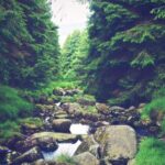 3d开奖179期开奖结果最新公布与详细数据分析 wcxwfv6