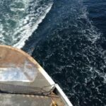 3d开奖124前后关系全方位分析及详细解读 zme56p